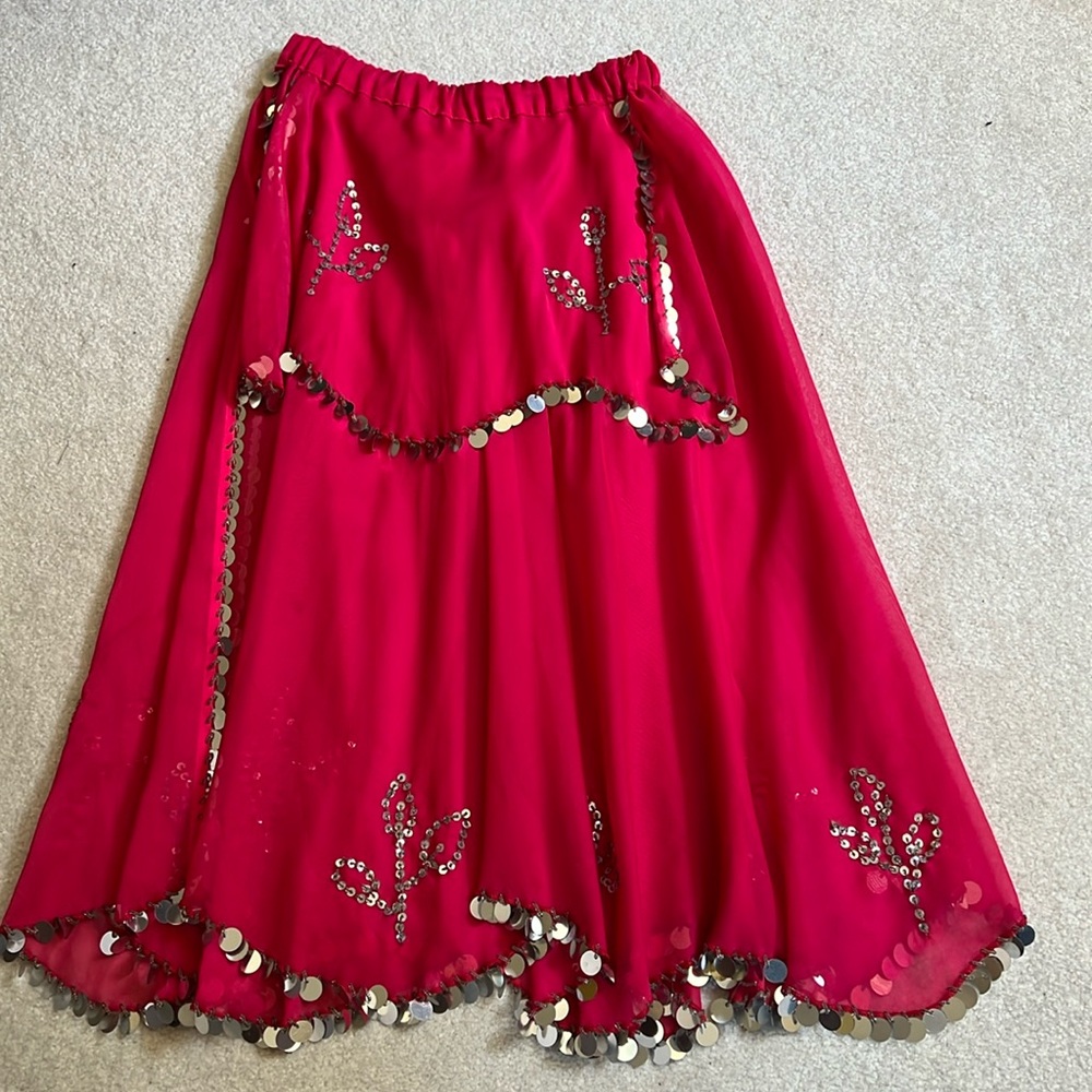 Hot Pink belly dancing skirt.